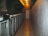 kennels 1